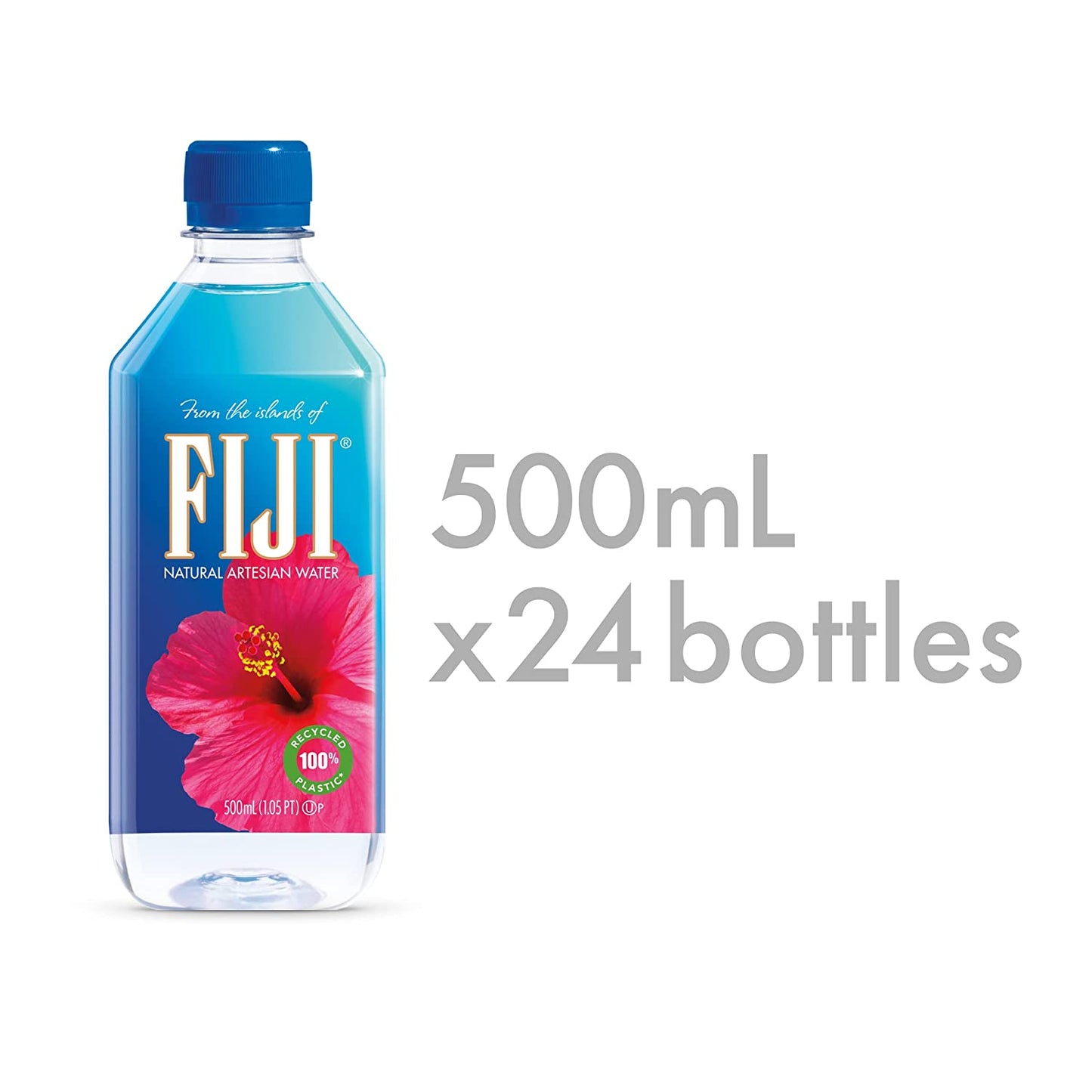 FIJI Natural Artesian Water, 16.9 Fl Oz (Pack of 24)